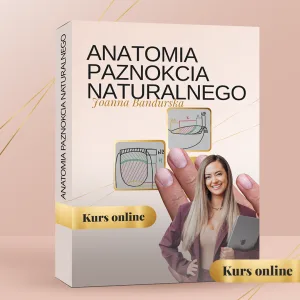 Anatomia Paznokcia Naturalnego